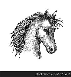 Sketched head of arabian horse symbol with long wavy mane. Equestrian sport or horse breeding themes design. Head of arabian horse sketch symbol