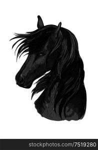 Sketched horse head of black purebred arabian stallion horse. Equestrian sport symbol, riding club badge or horse racing design. Horse head sketch of black arabian stallion