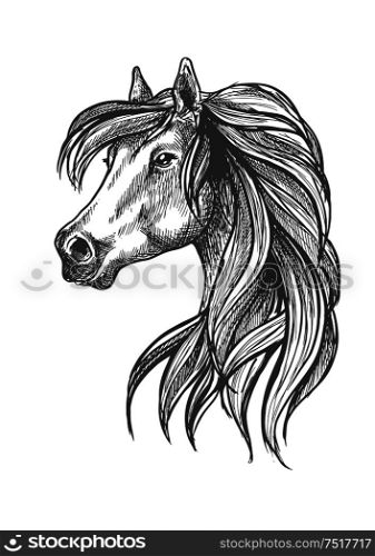 Sketched profile portrait of purebred horse of andalusian breed with head of beautiful adult mare. May be use as show jumping or dressage horse show symbol design. Profile portrait of purebred andalusian mare icon