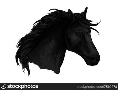 Sketched riding horse head. Black purebred arabian stallion for riding club symbol, equestrian sporting mascot or horse racing badge design. Black riding horse sketch of arabian stallion