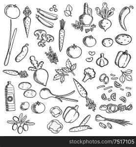 Sketched ripe tomatoes, fresh olives, garlic, mushrooms, carrots, green onion, cayenne and bell peppers, broccolies, beetroots, potatoes, cucumbers and sweet peas vegetables, olive and sunflower oil, parsley, dill and basil. Fresh vegetables and condiments for vegetarian food design. Fresh vegetables and condiments sketch icon