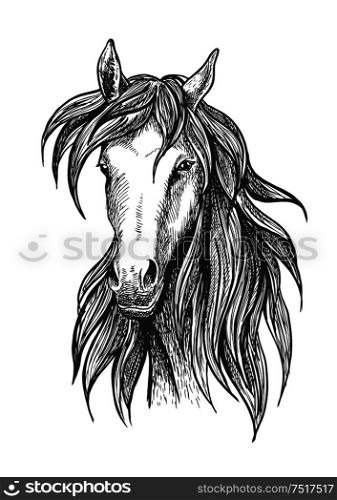 Sketched thoroughbred racehorse icon for racing and show jumping symbols design usage with slim and athletic bay stallion. Athletic thoroughbred bay racehorse sketch symbol