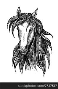 Sketched thoroughbred racehorse icon for racing and show jumping symbols design usage with slim and athletic bay stallion. Athletic thoroughbred bay racehorse sketch symbol