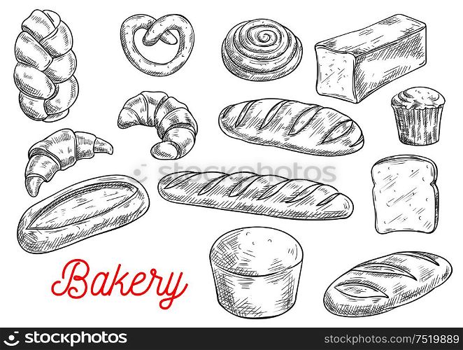 Sketched wheat bread, croissant, baguette, cupcake, cinnamon roll, toast, ciabatta, pretzel, braided bun, long loaf. Bakery and pastry shop, food packaging design. Sketched wheat bread and sweet buns