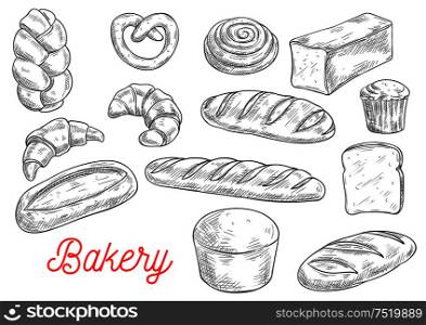 Sketched wheat bread, croissant, baguette, cupcake, cinnamon roll, toast, ciabatta, pretzel, braided bun, long loaf. Bakery and pastry shop, food packaging design. Sketched wheat bread and sweet buns