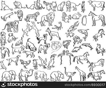 Sketches of animals