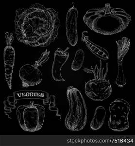 Sketches of farm vegetables on blackboard with cabbage and carrot, chilli and bell peppers, onion and potato, cucumber and pea, beans, kohlrabi and leek, zucchini and pattypan squash. Fresh farm vegetables chalk sketches set