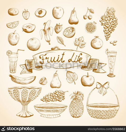 Sketches of juicy fresh fruits orange, grape, apple, strawberry, cherry and others vector illustration