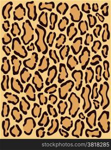 skin of leopard 2