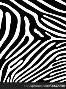 skin of zebra