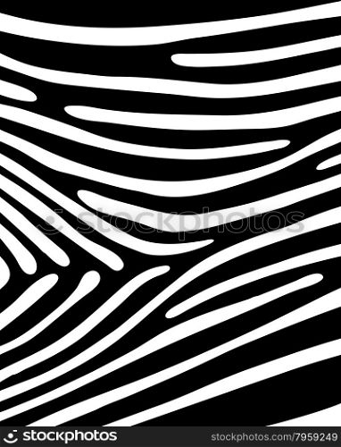 skin of zebra