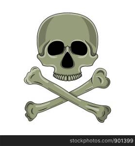 Skull and crossed bones isolated on white background. Cartoon human skull. Vector illustration for any design.