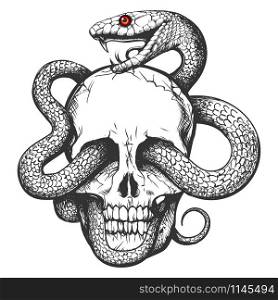 Skull and Snake. Tattoo art Hand drawn vintage vector illustration