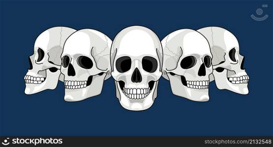 Skull head profile. Human skulls profiles picture, front and side scull bones, skeleton faces, different sides dead man heads cartoon drawing vector illustration. Skull head profile. Human skulls profiles picture, front and side scull bones, skeleton faces, different sides dead man heads cartoon drawing vector