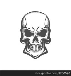 Skull human skeleton head isolated sketch. Vector death symbol, tattoo death mascot. Human skull monochrome sketch, tattoo design