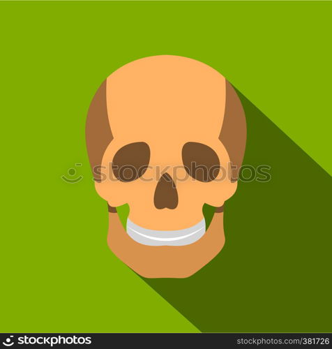 Skull icon. Flat illustration of skull vector icon for web. Skull icon, flat style