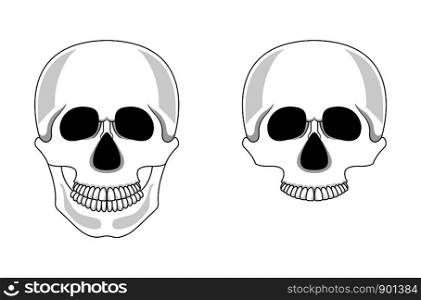 Skull isolated on white background. Cartoon human skull with jaw. Vector illustration for any design.