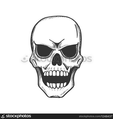 Skull sketch of scary human skeleton. Vintage skull with evil face isolated icon of death danger symbol for tattoo or Halloween sign design. Skull of scary human skeleton head sketch