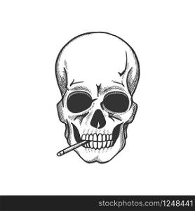 Skull smoking sketch for death danger symbol and tobacco addiction themes design. Head bone of human skeleton with cigarette for warning sign or tattoo design. Skull smoking cigarette sketch for warning symbol