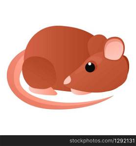Sleeping rat icon. Cartoon of sleeping rat vector icon for web design isolated on white background. Sleeping rat icon, cartoon style
