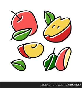slice apple cut fruit leaf color icon vector. slice apple cut fruit leaf sign. isolated symbol illustration. slice apple cut fruit leaf color icon vector illustration