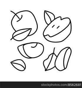 slice apple cut fruit leaf line icon vector. slice apple cut fruit leaf sign. isolated contour symbol black illustration. slice apple cut fruit leaf line icon vector illustration