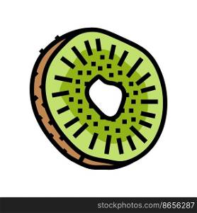 slice kiwi fruit color icon vector. slice kiwi fruit sign. isolated symbol illustration. slice kiwi fruit color icon vector illustration