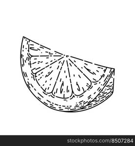 slice lemon hand drawn vector. fresh citrus, cut yellow fruit, top food slice lemon sketch. isolated black illustration. slice lemon sketch hand drawn vector