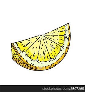 slice lemon hand drawn vector. fresh citrus, cut yellow fruit, top food slice lemon sketch. isolated color illustration. slice lemon sketch hand drawn vector