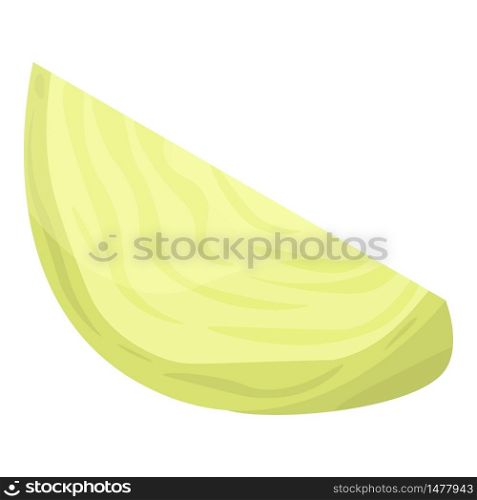 Slice of cabbage icon. Isometric of slice of cabbage vector icon for web design isolated on white background. Slice of cabbage icon, isometric style