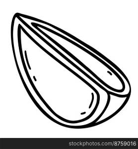 Slice of cut citrus fruit. A piece of lime. Vector illustration. Linear hand drawing in doodle style