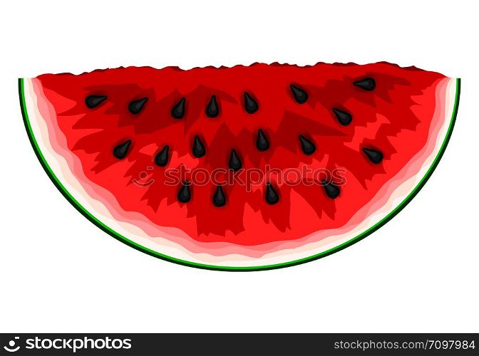 Slice of watermelon. Vector Illustration