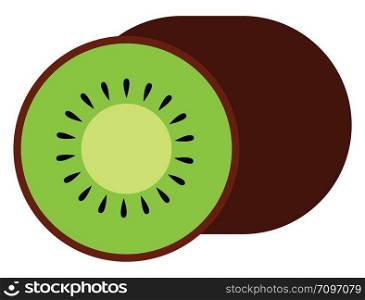 Sliced kiwi, illustration, vector on white background.