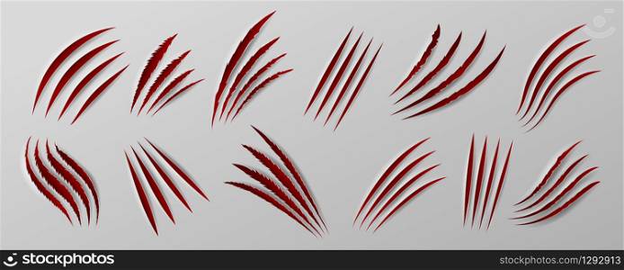 Sliced paper. Realistic hole in paper sheets with ripped and straight edges, wild animals and domestic pet scratch mark. Vector isolated set scratch attacking bear. Sliced paper. Realistic hole in paper sheets with ripped and straight edges, wild animals and domestic pet scratch mark. Vector isolated set