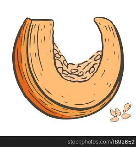 Sliced piece of pumpkin with seeds sketch, vector illustration. Piece of autumn orange vegetable, isolated object. Bright colorful drawn autumn pumpkin, harvest.. Sliced piece of pumpkin with seeds sketch, vector illustration