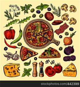 Slices of pizza with cheeses, olives and other ingredients. Vector hand drawn illustrations italian pizza ingredient, vegetable mushroom and garlic. Slices of pizza with cheeses, olives and other ingredients. Vector hand drawn illustrations