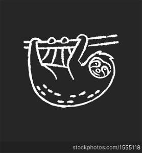 Sloth chalk white icon on black background. South American arboreal animal. Cute herbivore wildlife, exotic fauna. Adorable sloth hanging on tree branch isolated vector chalkboard illustration. Sloth chalk white icon on black background