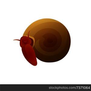 Small brown snail with round shell colorful poster, wild animal vector illustration isolated on white background, slimy mollusk with special horns. Small Brown Snail with Round Shell Colorful Poster
