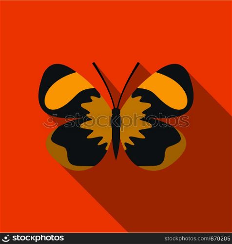 Small butterfly icon. Flat illustration of small butterfly vector icon for web. Small butterfly icon, flat style.
