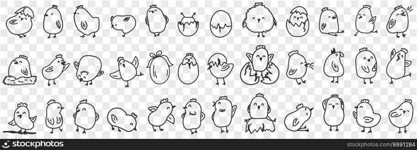 Small chicks on farm doodle set. Collection of hand drawn cute funny positive chicks eating hatching out of egg shell living in farmlands for children books isolated on transparent background. Small chicks on farm doodle set