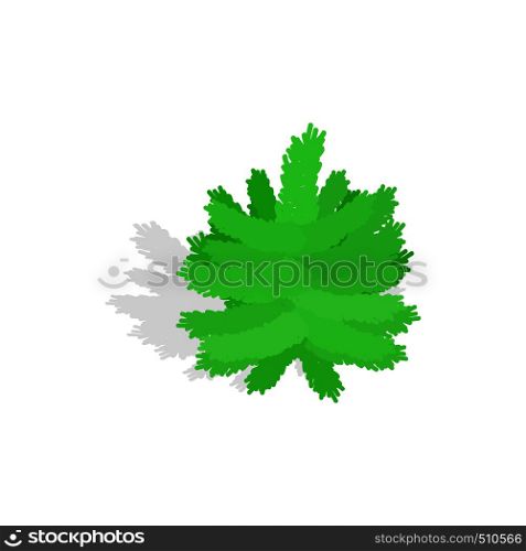 Small christmas tree icon in isometric 3d style isolated with shadow on white background. Small christmas tree icon, isometric 3d style