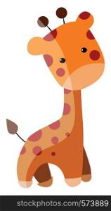 Small cute giraffe, illustration, vector on white background.