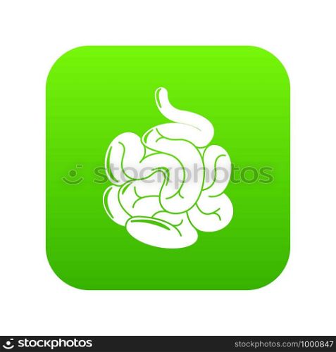 Small intestine icon green vector isolated on white background. Small intestine icon green vector