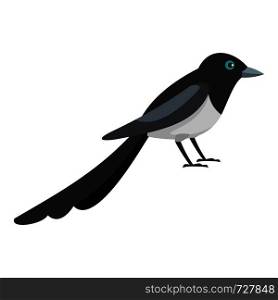 Small magpie icon. Flat illustration of small magpie vector icon for web. Small magpie icon, flat style