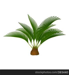 Small palm tree icon. Cartoon illustration of small palm tree vector icon for web. Small palm tree icon, cartoon style