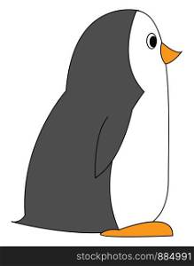 Small penguin, illustration, vector on white background.
