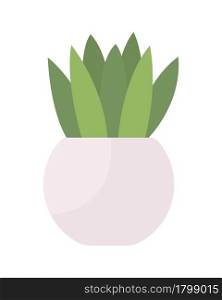 Small tabletop plant semi flat color vector object. Potted houseplant. Full sized item on white. Office table decoration isolated modern cartoon style illustration for graphic design and animation. Small tabletop plant semi flat color vector object