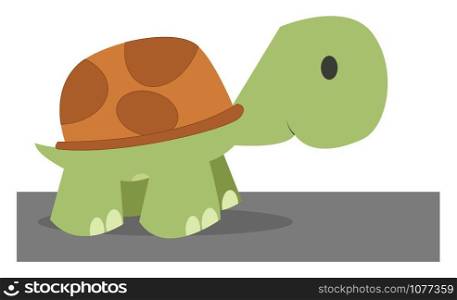 Small turtle, illustration, vector on white background.