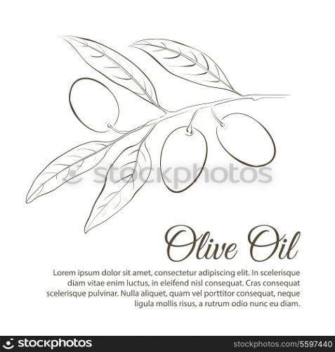 Small twig with black olives, isolated on white background. Vector illustration.
