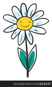 Smiling daisy, illustration, vector on white background.